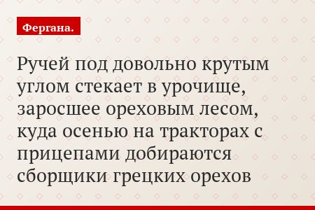 Ручей под довольно крутым углом стекает в урочище, заросшее ореховым лесом, куда осенью на тракторах с прицепами добираются сборщики грецких орехов