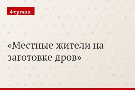 Местные жители на заготовке дров