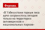 В Узбекистане горные леса арчи сохранились сегодня только на территории заповедников и национальных парков