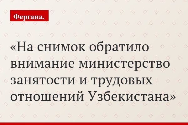 На снимок обратило внимание министерство занятости и трудовых отношений Узбекистана