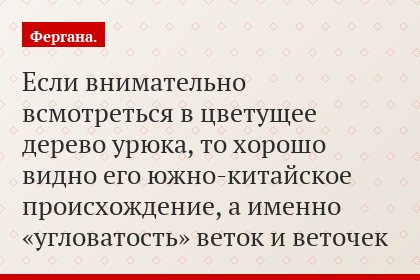 Если внимательно всмотреться в цветущее дерево урюка, то хорошо видно его южно-китайское происхождение, а именно «угловатость» веток и веточек