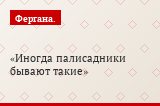 Иногда палисадники бывают такие