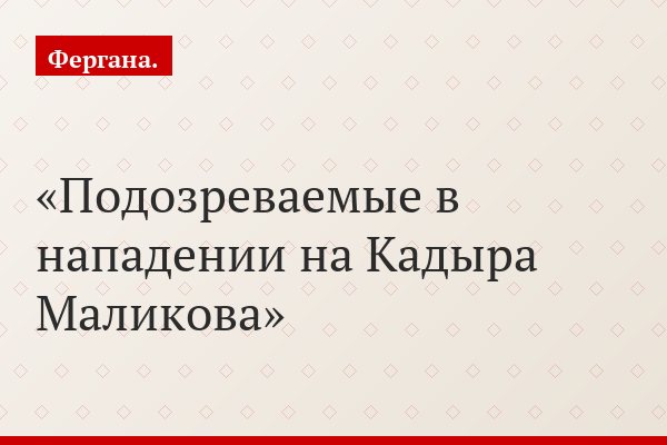 Подозреваемые в нападении на Кадыра Маликова