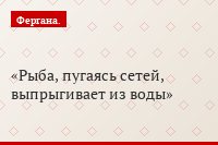 Рыба, пугаясь сетей, выпрыгивает из воды