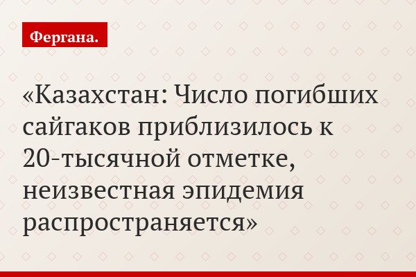 Казахстан: Число погибших сайгаков приблизилось к 20-тысячной отметке, неизвестная эпидемия распространяется