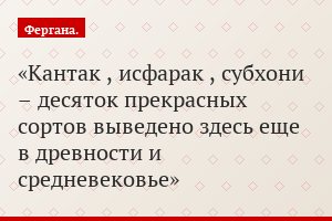 Кантак , исфарак , субхони – десяток прекрасных сортов выведено здесь еще в древности и средневековье