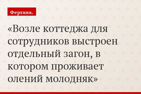 Возле коттеджа для сотрудников выстроен отдельный загон, в котором проживает олений молодняк