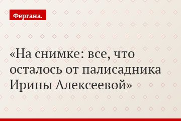 На снимке: все, что осталось от палисадника Ирины Алексеевой