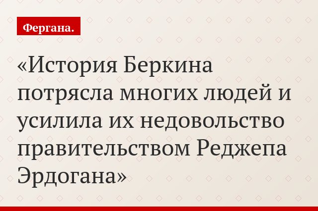 История Беркина потрясла многих людей и усилила их недовольство правительством Реджепа Эрдогана