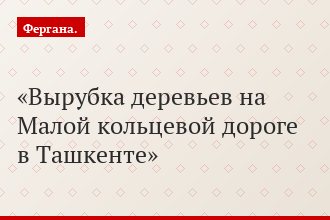 Вырубка деревьев на Малой кольцевой дороге в Ташкенте