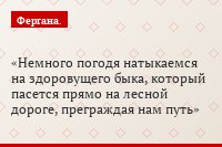 Немного погодя натыкаемся на здоровущего быка, который пасется прямо на лесной дороге, преграждая нам путь