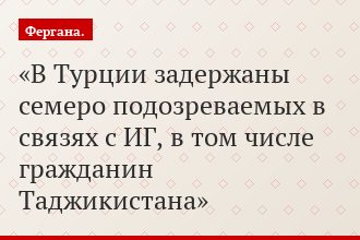 В Турции задержаны семеро подозреваемых в связях с ИГ, в том числе гражданин Таджикистана