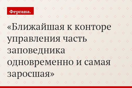 Ближайшая к конторе управления часть заповедника одновременно и самая заросшая