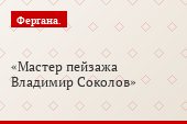 Мастер пейзажа Владимир Соколов