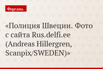 Полиция Швеции. Фото с сайта Rus.delfi.ee (Andreas Hillergren, Scanpix/SWEDEN)
