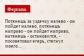 Потянешь за уздечку налево - он пойдет налево, потянешь направо - он пойдет направо, натянешь - остановится, - посоветовал егерь, стегнул моего…