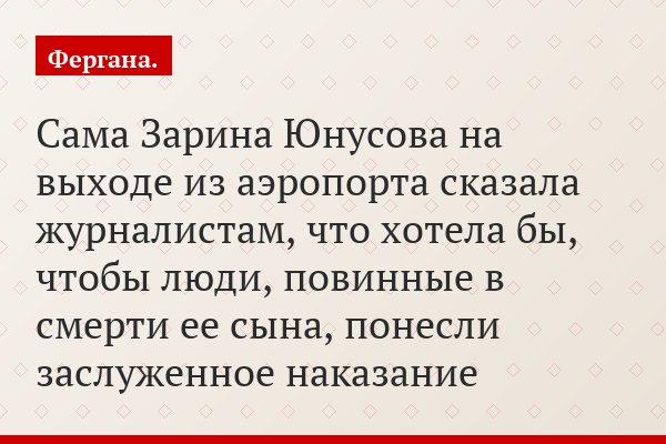 Сама Зарина Юнусова на выходе из аэропорта сказала журналистам, что хотела бы, чтобы люди, повинные в смерти ее сына, понесли заслуженное наказание