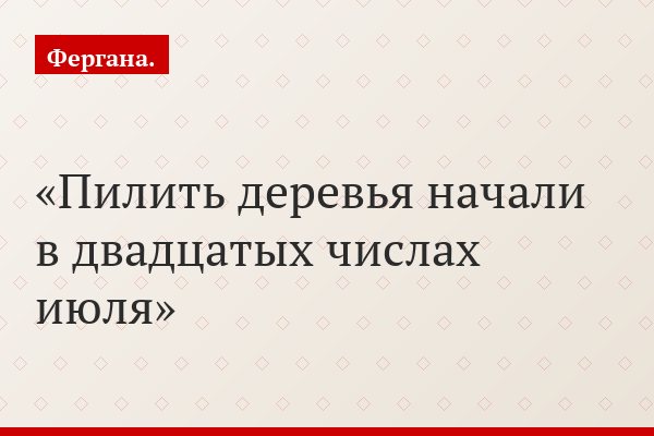 Пилить деревья начали в двадцатых числах июля