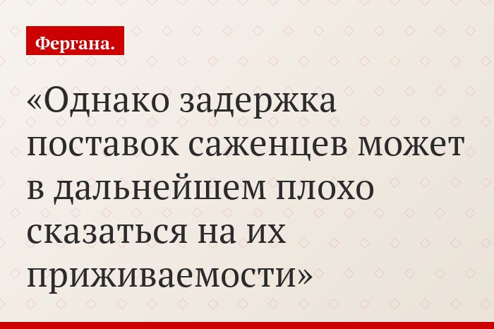 Однако задержка поставок саженцев может в дальнейшем плохо сказаться на их приживаемости