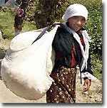 Samarkand students and pupils ferried to cotton plantations