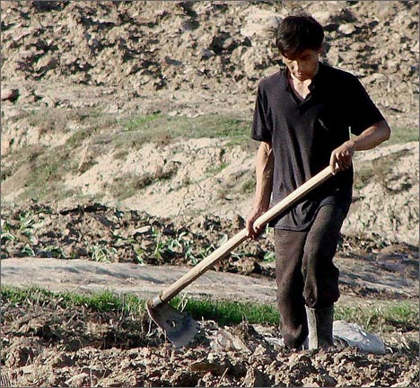 Дефицит поливной воды грозит Узбекистану катастрофическими последствиями