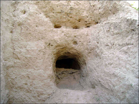 Ancient Settlement of Minguruk in Tashkent