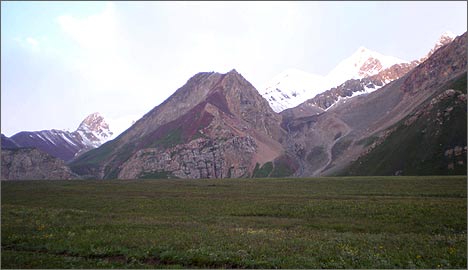 Луковая поляна