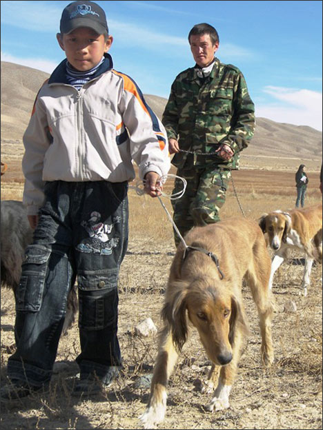 Салбурун 2008
