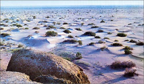Солончаки на дне Аральского моря