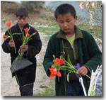 Uzbekistan: Tulips help Shakhrisabz residents to survive