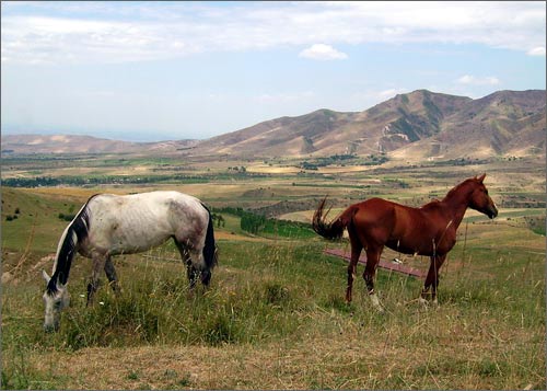 Лошадки Кумушкана
