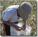 Uzbekistan: The students in the Tashkent Oblast do not go to secondary schools (photo)