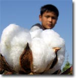 Uzbek field chronicle-2009: the Syr Darya children