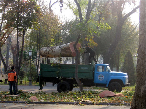 Сквер