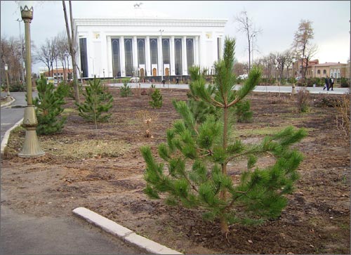 Сквер сегодня
