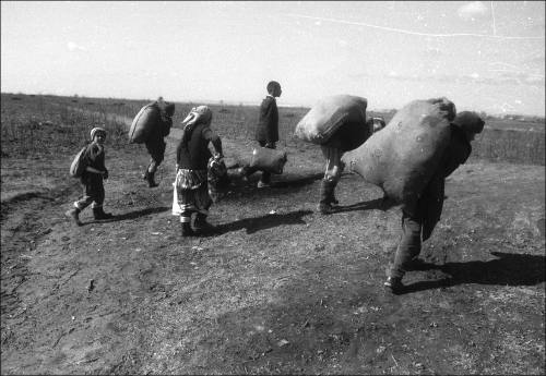 Таджикистан, внутренне перемещенные лица, 1992 г.