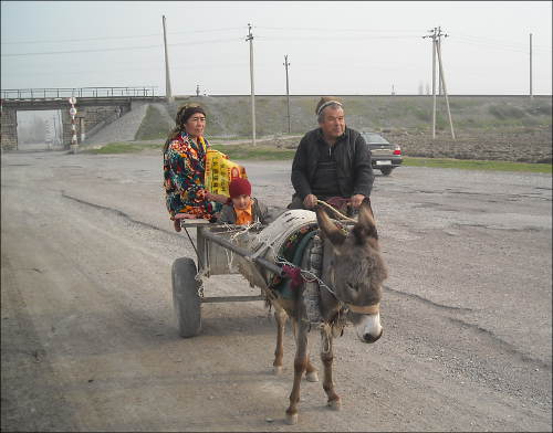 Местное такси