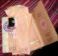 Parliamentary republic, non-parliamentary public