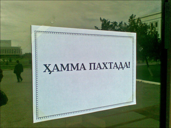 Все – на хлопке!