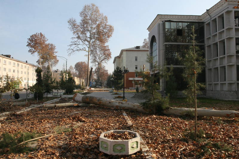 Вырубка деревьев в Фергане