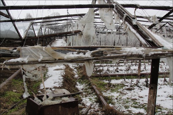 Villagers in Uzbekistan are freezing without natural gas which has been exported abroad