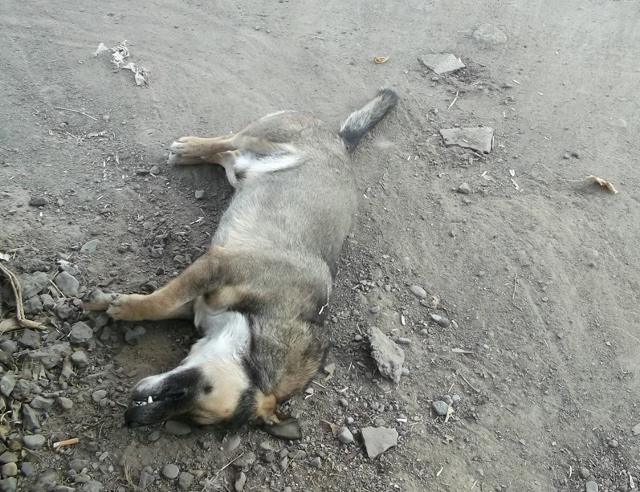 Ашхабад