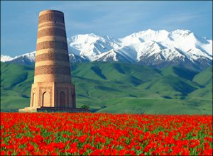 Кыргызстан: Итоги 2014 года