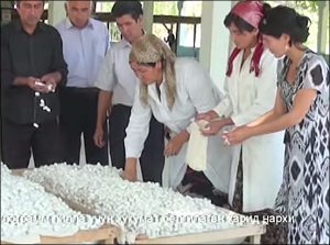 The Uzbek-German Forum: “Silk Noose on Uzbek Farmers’ Neck”