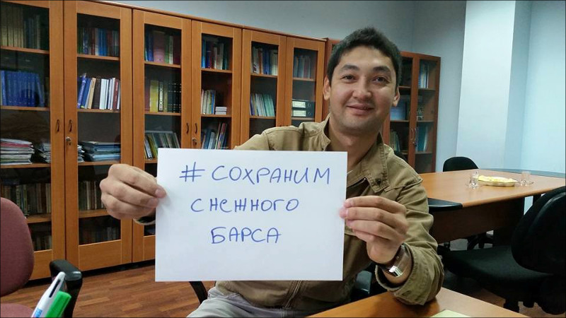 Снежный барс