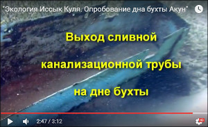 Кадр из видеоролика
