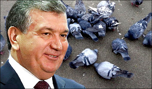 Колонка Ядгора Норбутаева. «Идите  же  сюда, голуби мои!»
