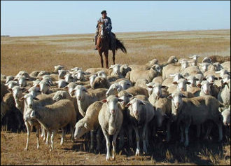 Tajikistan: Time to privatise hills and meadows?