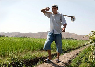 How farmers pay for grudge between presidents of Kazakhstan and Kyrgyzstan