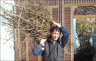 Готовь кизяки летом. Как не замерзнуть зимой в Таджикистане